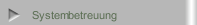Systembetreuung